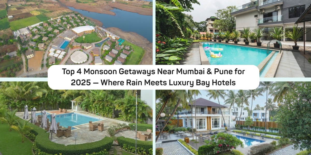 hotel management company india hotel management company india